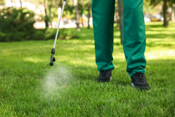 Best Affordable Pest Control Services  in Seymour, TX