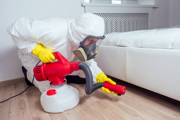 Best Affordable Pest Control Services  in Seymour, TX