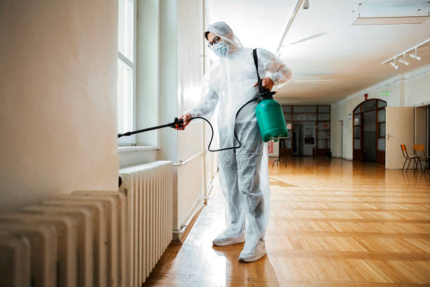 Best Bed Bug Extermination  in Seymour, TX